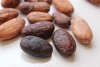 Organic Dry Cocoa Beans
