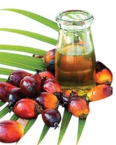 Palm Olein Oil