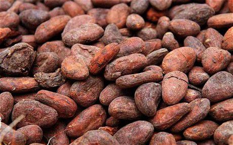 cocoa beans