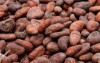 cocoa beans