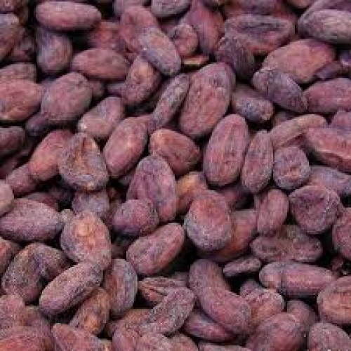 Dried Grade Beans of Cacao