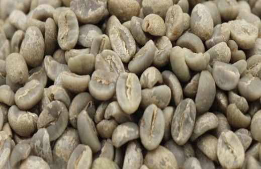 Unroasted green coffee beans