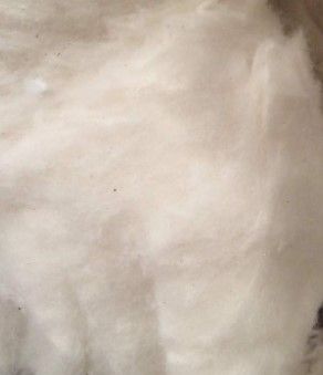 COMBER NOIL RAW COTTON