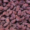 High Quality Grade Sun Dried Cacao Beans