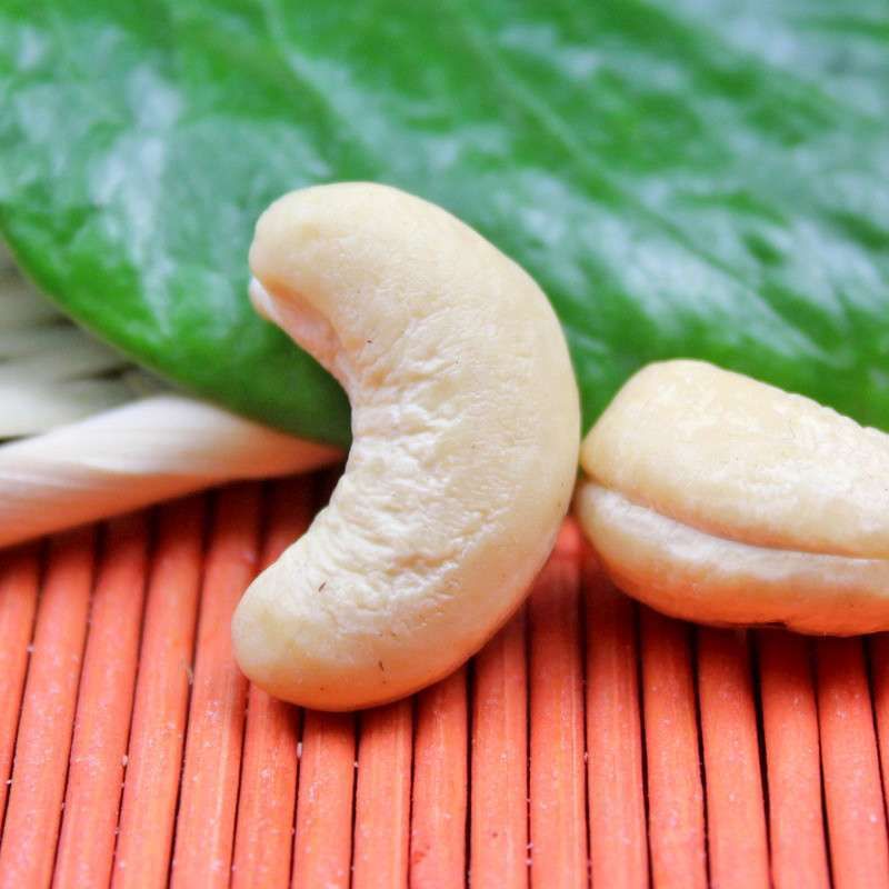 Cashew nut in malay