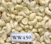 Cashew nuts WW450