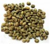 Green Coffee Bean