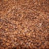 High Quality Bulk Homegrown Coffee Bean
