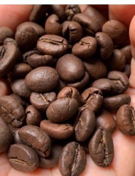 Robusta Roasted Coffee Bean