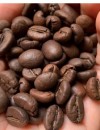 Robusta Roasted Coffee Bean