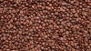 Medium Roast Arabica Roasted Beans of Coffee